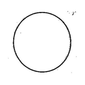 1027 – ANEL ORING FLANGE DISTRIB.GOL/PST/VOY