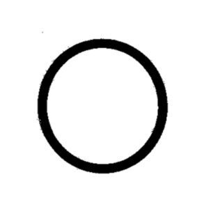 1028 – ANEL ORING TUBO HOMOG.GOL/VOY/SANT.AP