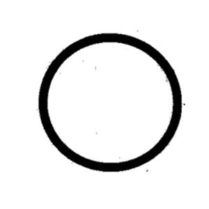 1029 – ANEL ORING RAD.OLEO GOL/PAR/SANT.AP