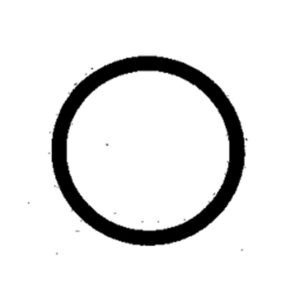 1030 – ANEL BOIA TANQUE PST/GOL/VOY/SANT