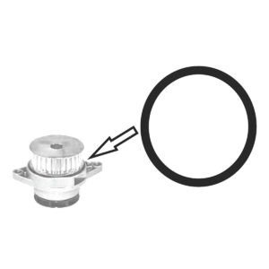 1036A – ANEL ORING BOMBA DAGUA GOL 1.0 8/16V AT / AUDI