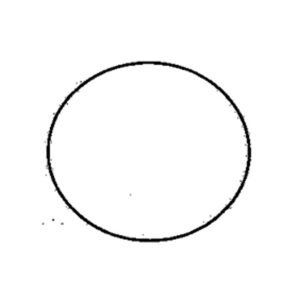 1120 – ANEL ORING VALV.TERM.MONZA/VECTRA