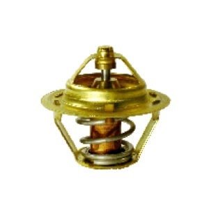 8892 – VALV.TERM.FIESTA/ZETEC 16V