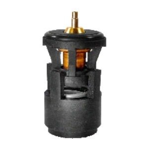 8801 – VALV.TERM.GOL/POLO/PAR