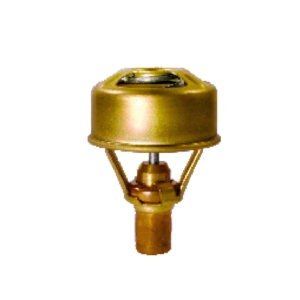 8891 – VALV.TERM.CORCEL/ESC.ALC