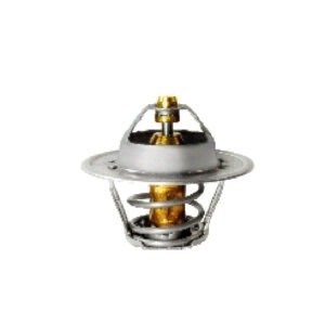 8802 – VALV.TERM.GOL/ESCORT GAS