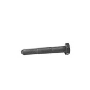 700 – PARAFUSO SEXT. 10X70 C/PO