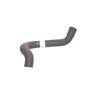 9111 – MANG.RAD.SUP.LOGUS/POINT.AE